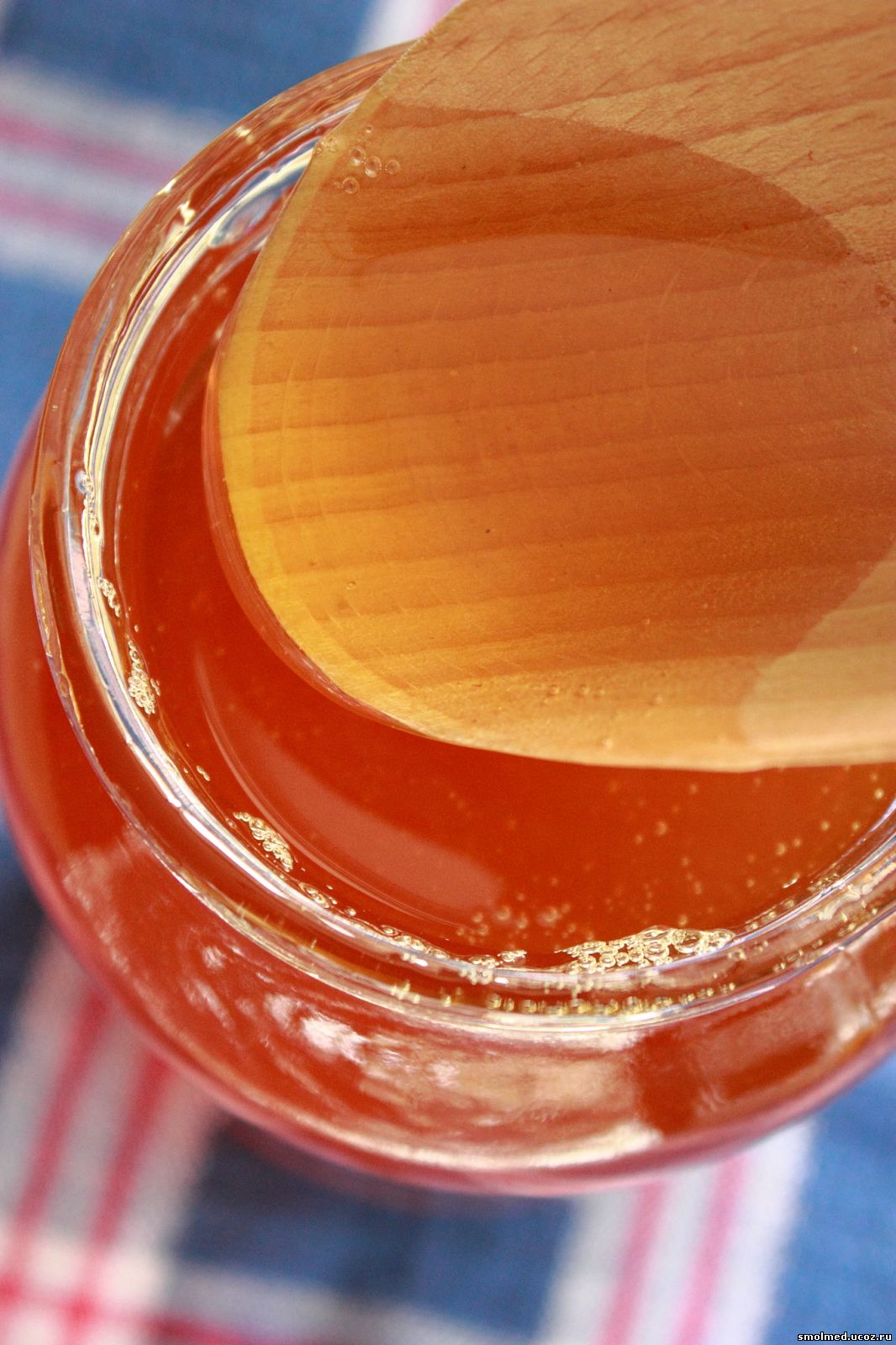 Вода после меда. Синяковый мёд. Мед синяк. Мед из синяка. Мед из синяка обыкновенного.